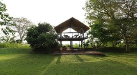 Sigiriya Jungles