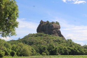Sigiriya Jungles