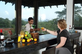 Sigiriya Jungles