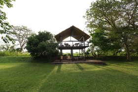 Sigiriya Jungles