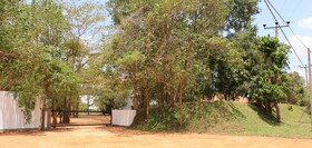 Sigiriya Jungles