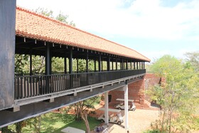 Sigiriya Jungles