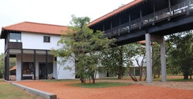 Sigiriya Jungles