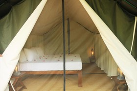 Sigiriya Lodge Hostel
