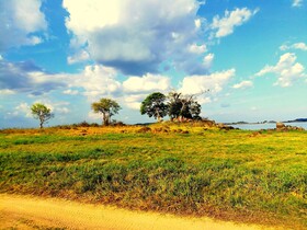 Sisira Natural Lodge
