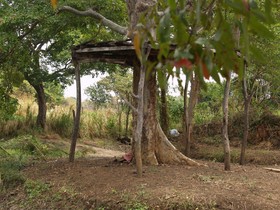 Welimaluwa Resort