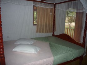 Dinuliya