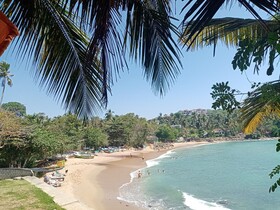 Surf Paradise Hotel