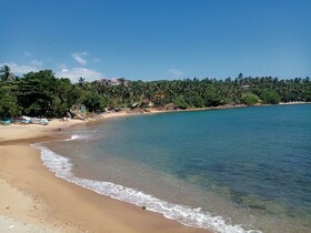 Surf Paradise Hotel