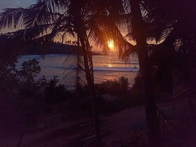 Surf Paradise Hotel