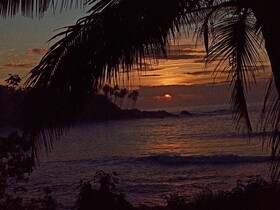 Surf Paradise Hotel