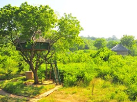 Beddegama Eco