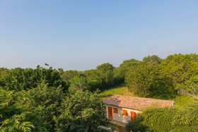 Forestville Yala