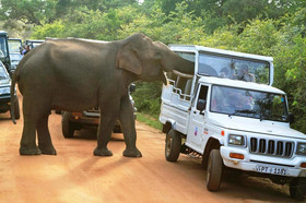 La Safari Inn Tissamaharama