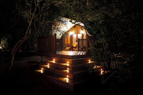 Leopard Reach Yala By Seven Angels