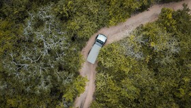 Leopard Reach Yala By Seven Angels