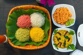 Leopard Reach Yala By Seven Angels