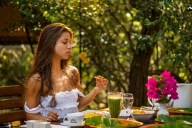 Leopard Reach Yala By Seven Angels