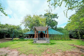 Leopard Reach Yala By Seven Angels