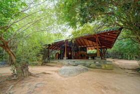 Leopard Reach Yala By Seven Angels