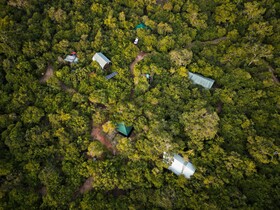 Leopard Reach Yala By Seven Angels