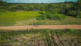 Leopard Reach Yala By Seven Angels