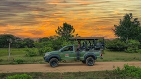 Leopard Reach Yala By Seven Angels