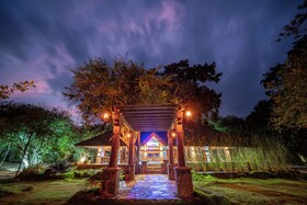 Leopard Reach Yala By Seven Angels