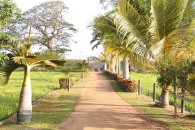Serene Park Hotel