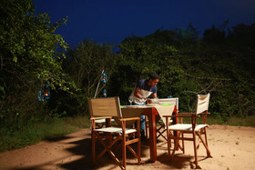 Yala Safari and Relax Camping