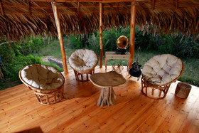 Yala Safari and Relax Camping