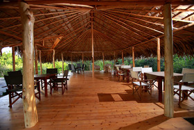Yala Safari and Relax Camping