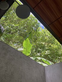 Amba Kola