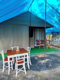 Harmony Haven