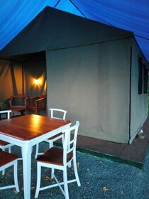Harmony Haven
