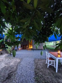 Harmony Haven