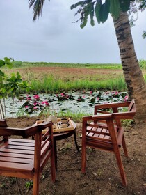Harmony Haven