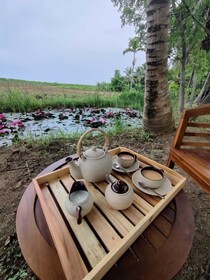 Harmony Haven