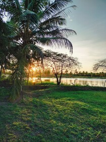 Harmony Haven