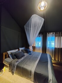 Harmony Haven
