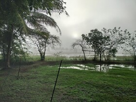 Harmony Haven