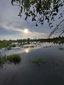 Harmony Haven