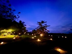 Harmony Haven