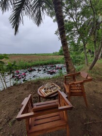 Harmony Haven