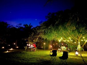 Harmony Haven