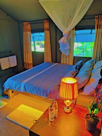 Harmony Haven