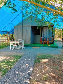 Harmony Haven