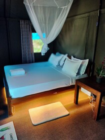 Harmony Haven