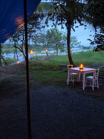 Harmony Haven