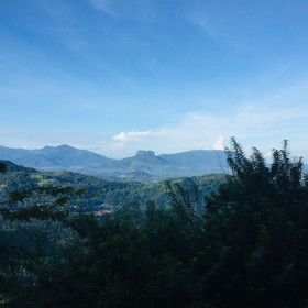 Toropi Homestay